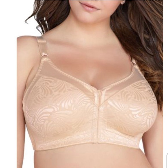 42b bra